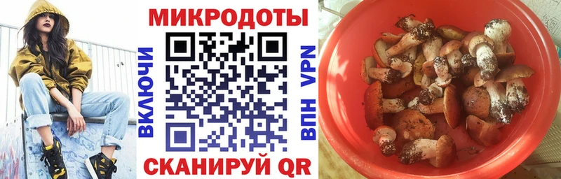 сайты даркнета как зайти  цена наркотик  Шатура  Псилоцибиновые грибы Psilocybine cubensis 