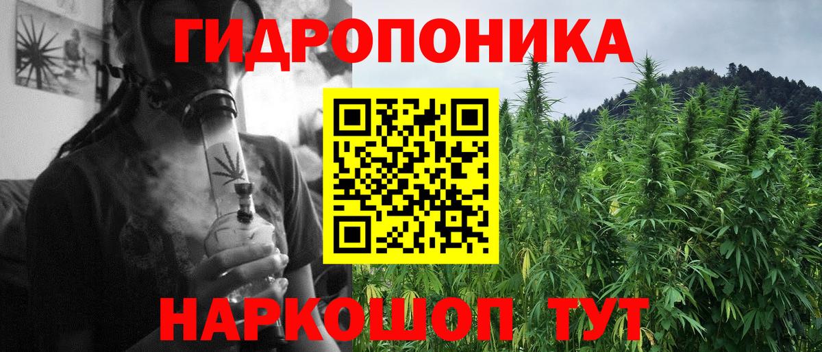 Шатура  МАРИХУАНА гибрид  Каннабис планчик  Бошки марихуана планчик  Вход с VPN 